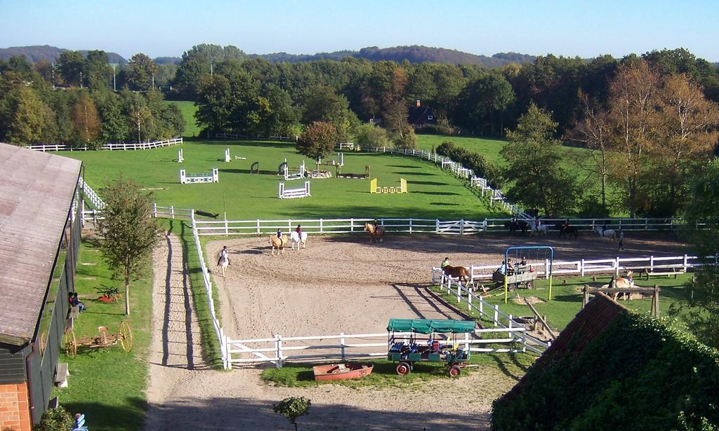 Ponyhof Naeve Am Wittensee Грос-Виттензее Экстерьер фото